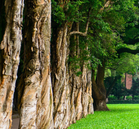 教學(xué)環(huán)境